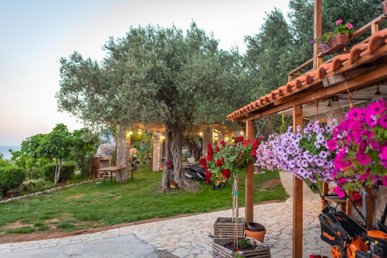 Holiday Park Olive Tree Улцин Екстериор снимка
