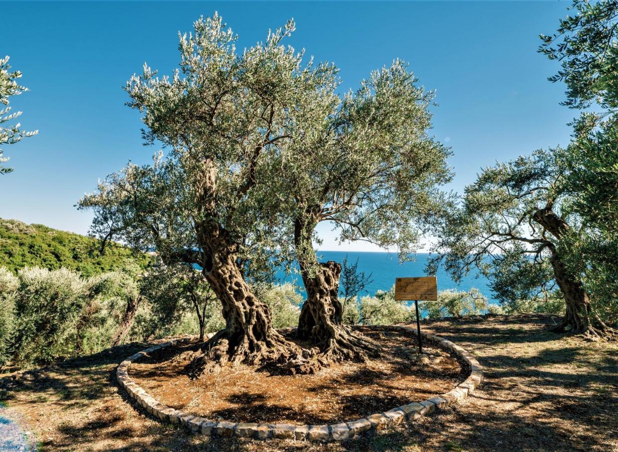 Holiday Park Olive Tree Улцин Екстериор снимка